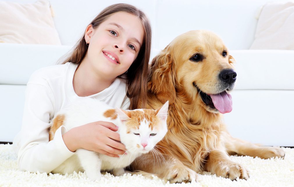 Adkins-Heating-and-Cooling-girl-with-pets